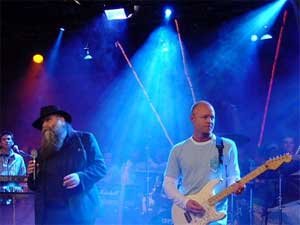 The Spitfires